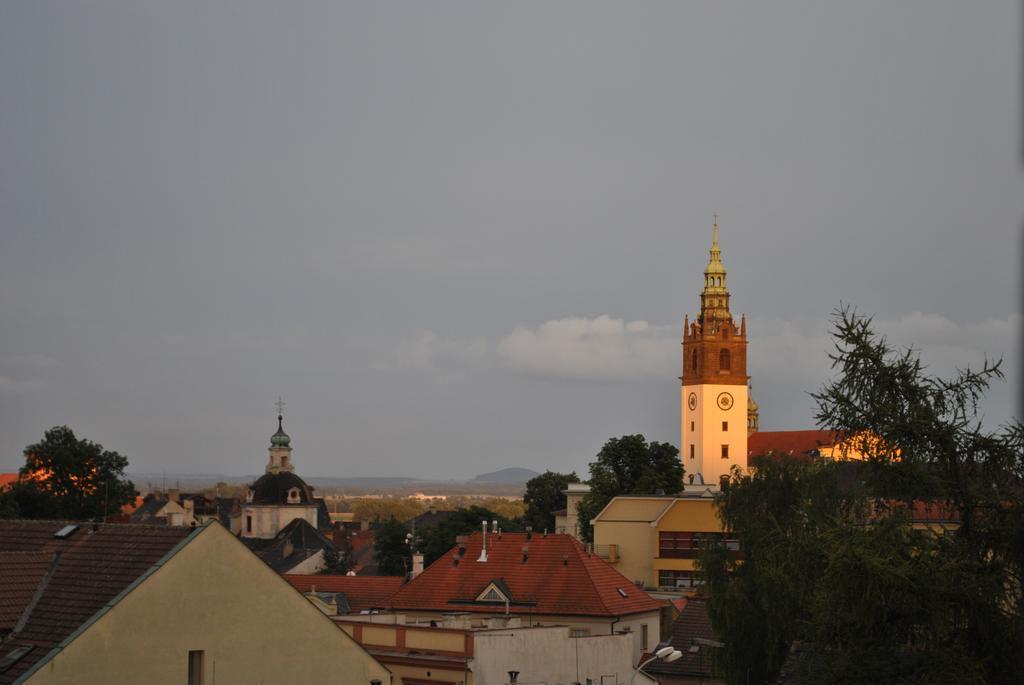 Penzion U Borovicku Litoměřice Exteriör bild
